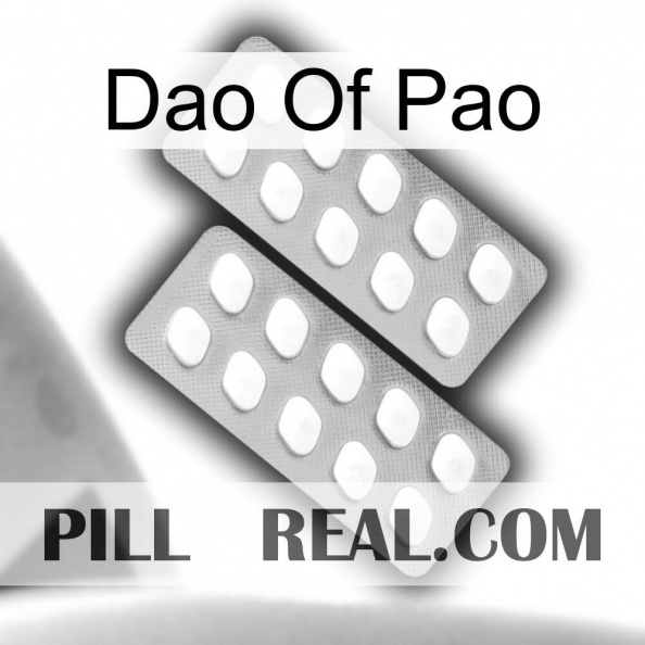 Dao Of Pao 27.jpg